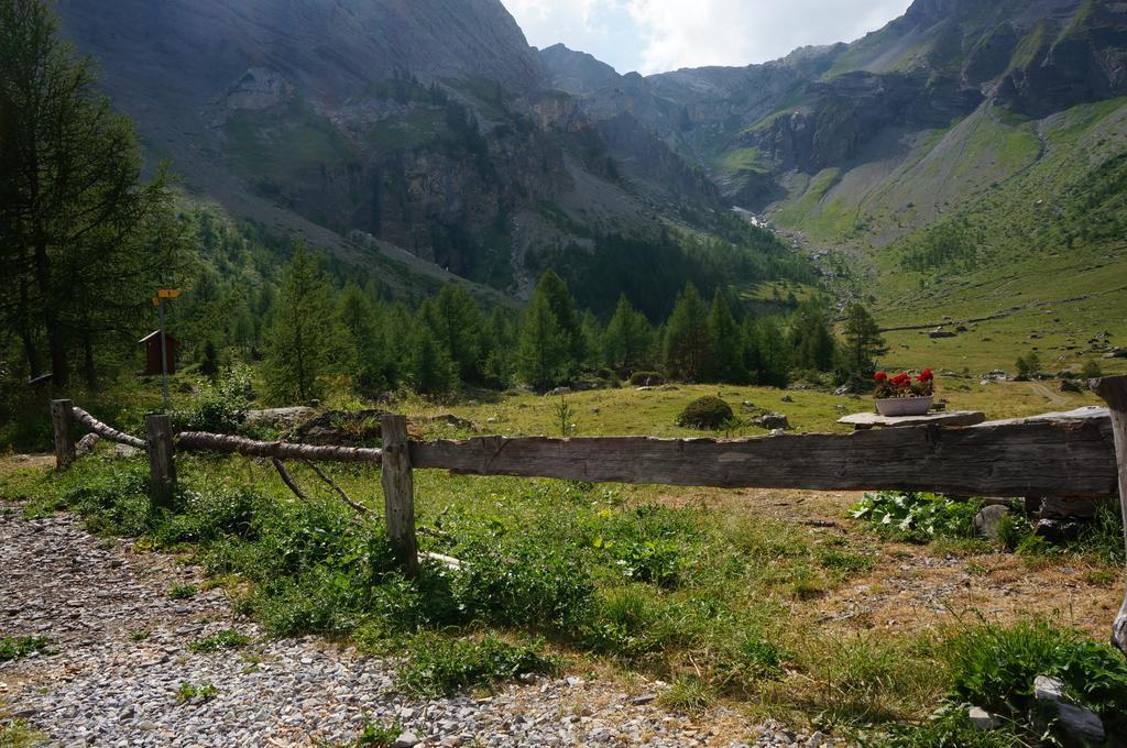 Bnb Valais - By La Sittelle Grimisuat Экстерьер фото